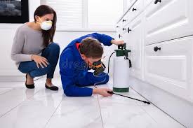 Best Pest Prevention Services  in Pleasantville, IA